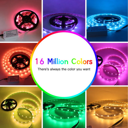 LED Strip DC24V RGB+CCT 5M