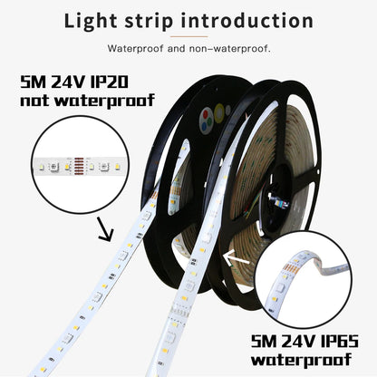 LED Strip DC24V RGB+CCT 5M