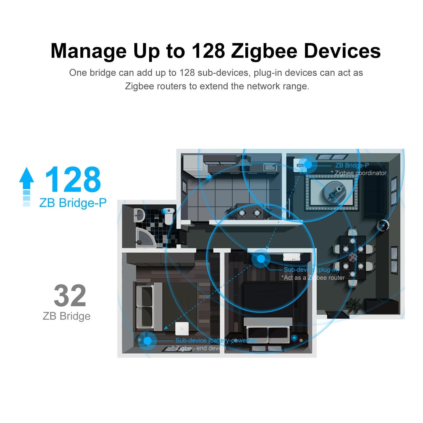 ZBBridge-P Pro Zigbee Bridge