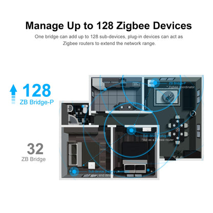 ZBBridge-P Pro Zigbee Bridge