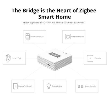 ZBBridge-P Pro Zigbee Bridge